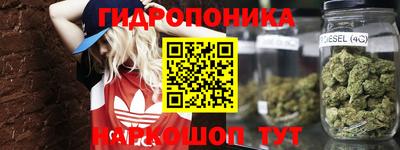 дурь Гусев